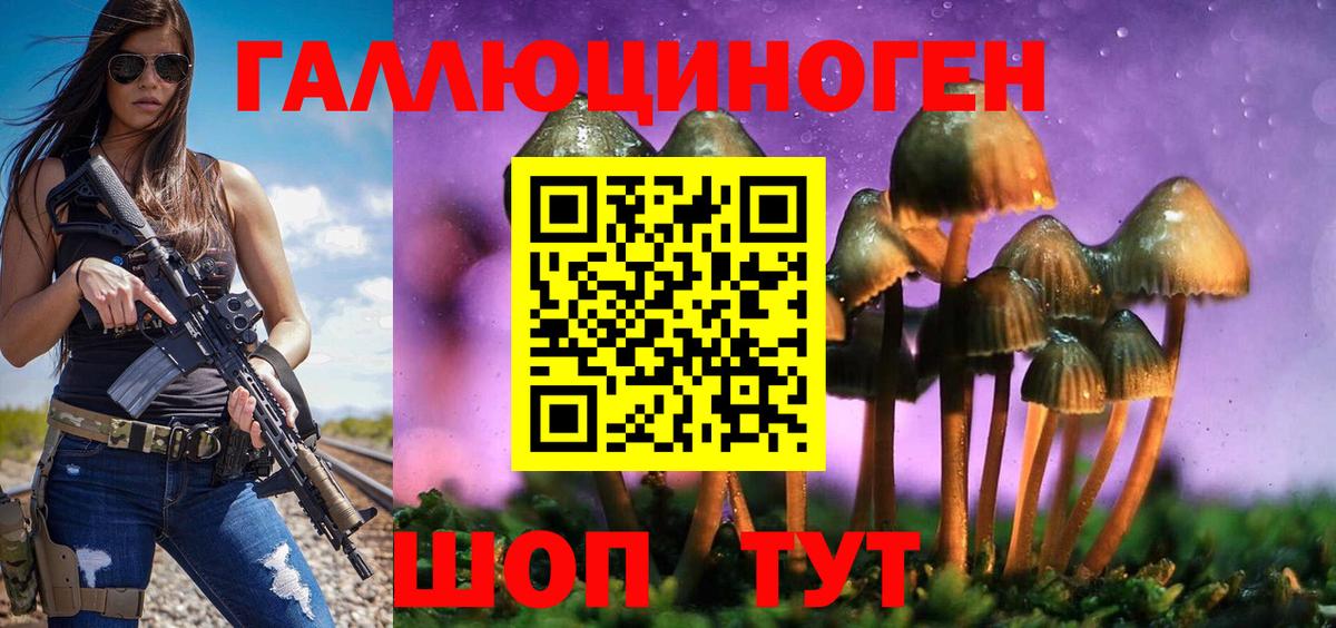 Балаково  Галлюциногенные грибы Psilocybine cubensis  Вход с VPN 